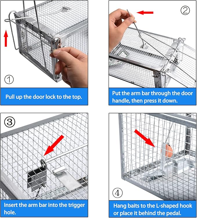 Gingbau Rat Trap Humane Live Mouse Chipmunk Trap Cage – Medium, 12.3" x 6.6" x 5.3"