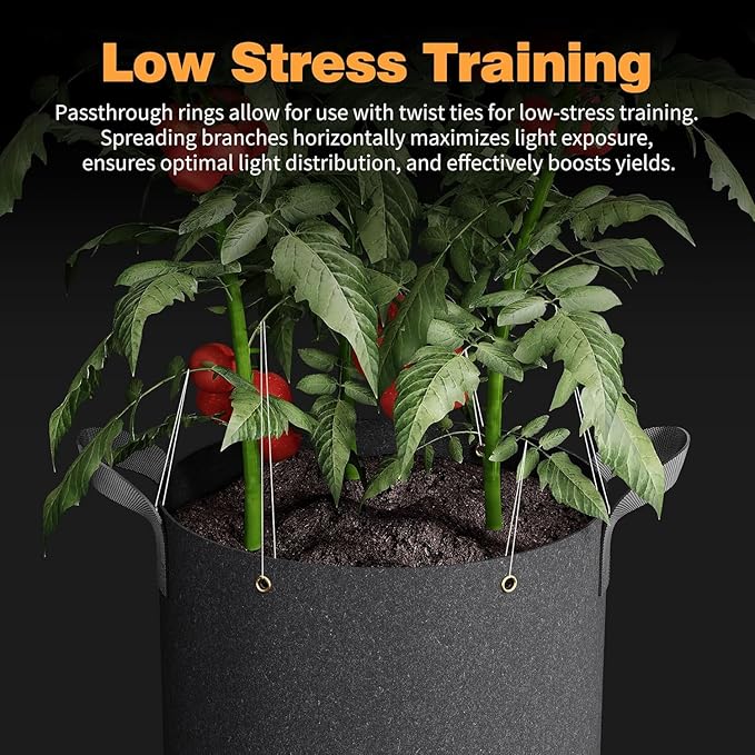 Self-Watering Grow Bags, 5-Pack 3 Gallon 420G Thick Nonwoven Fabric Pots with Reinforced Handles and Multi-Purpose Rings, for Low Stress Plant Training Fruits, Vegetables,and Flowers