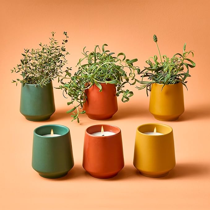 Modern Sprout Rooted Candle (Pack of 3) - 2 in 1 Scented Candles with Seeds That Grows into Plants - 6 oz Soy Candle with 42 hr Burn time in Matte Glaze Ceramic Vessel - Rosemary, Thyme, & Lavender