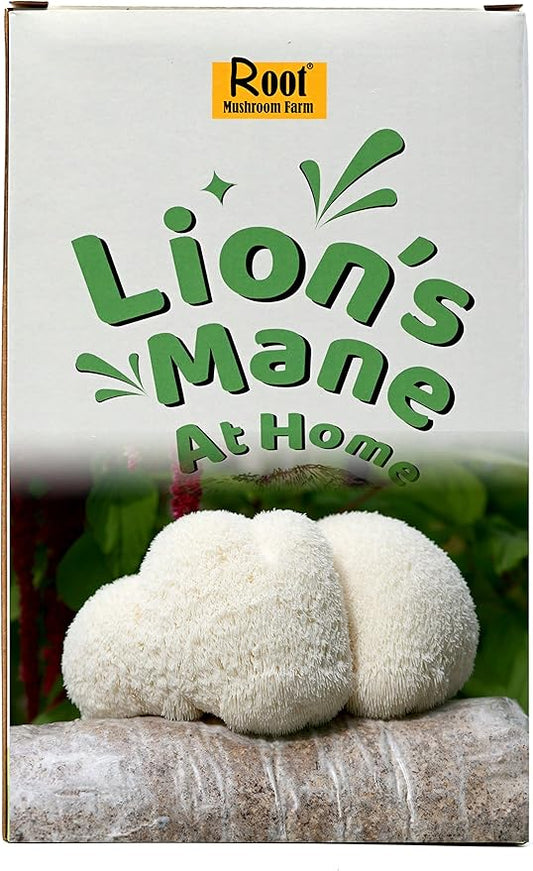 Lion's Mane Grow Kit (one kit), 3.2 Pound Log