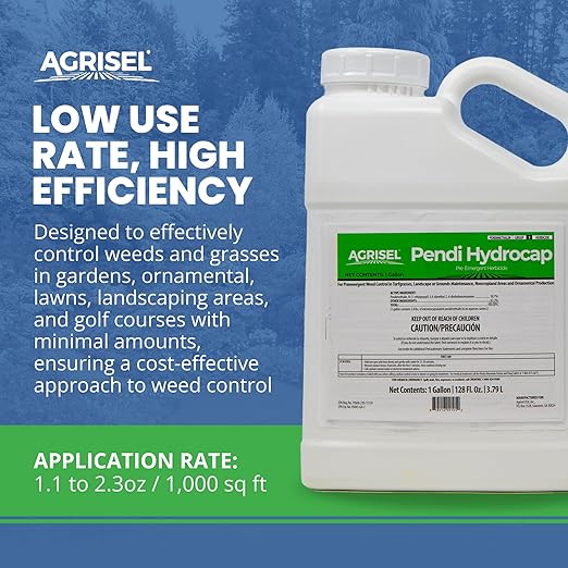 Pendi Hydrocap Weed Killer, Pre-Emergent Formula, Effective on 40+ Broadleaf Weeds and Grasses, No-Stain, Mixes Easily, Pet Safe, Includes 3-Pack of Agrisel Protective Gloves, 128 Ounces