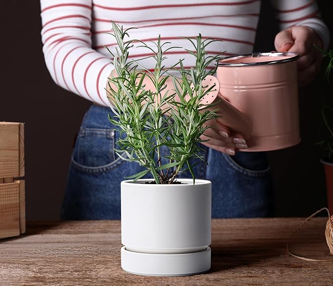 Phoenix Vine 6 Inch and 8 Inch Planter Pot with Drainage Hole & Deep Water Catch Tray Saucer, Straight Cylindrical Round Pot for Plants, Matte White, 23-A-1-Y