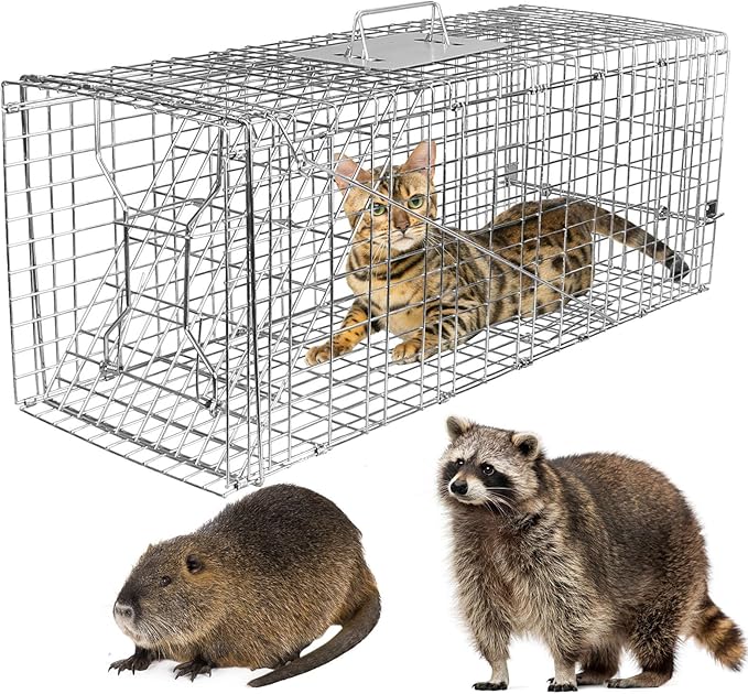 iMounTEK Humane Live Animal TrapLarge Humane Cat Trap Catch Release Animal Rodent Cage Collapsible Galvanized Wire for Small Raccoons Beavers Groundhogs Foxes Armadillos