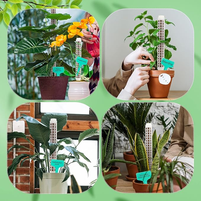 10 Set Plastic Moss Poles for Climbing Plants Indoor Stackable Self Watering Hollow Monstera Plant Support, Moss Not Included(White)