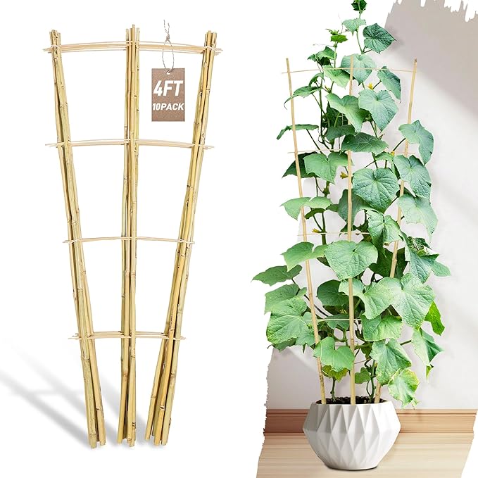 Avalution 10 Pack Bamboo Trellis for Climbing Plants, 4 FT Garden Ladder Trellis for Potted Plants Indoor, Fan-Shaped Small Plant Support Trellis for Houseplants Ivy Hoya Vine Monstera