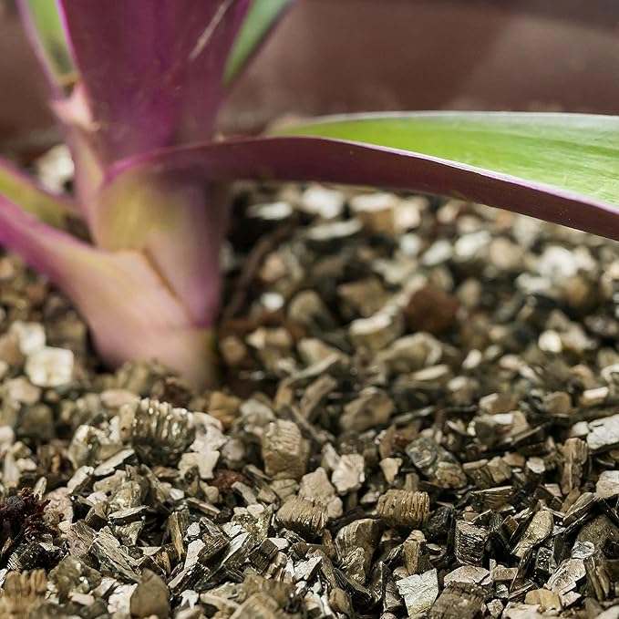 Zamioculcas Potting Mix - Unlock Robust Growth and Striking Leaves with Our High-Performance Formula - 20 Quart