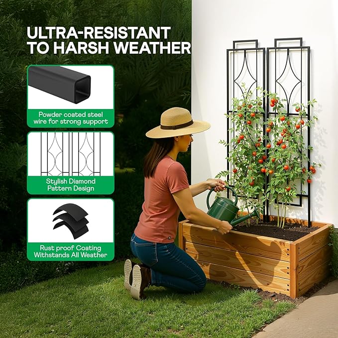 IDZO 2-Piece Diamonds Design Decoration Trellis, Metal Decorative Trellis for Climbing Plants Outdoor, Garden Trellis for Climbing Plants, Climbing Rose Trellis, 48-Inch Tall Each, Black