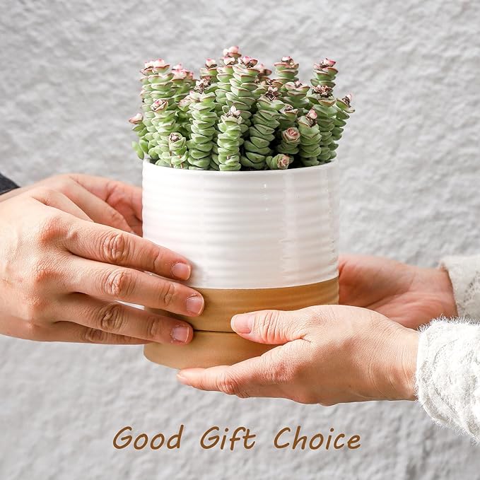 Hasense 4.6 Inch Plant Pots, Ceramic Flower Pots for Indoor Plants, Small White Planter with Drainage Hole and Saucer, Cute Mini Windowsill Tabletop Decor, Set of 4