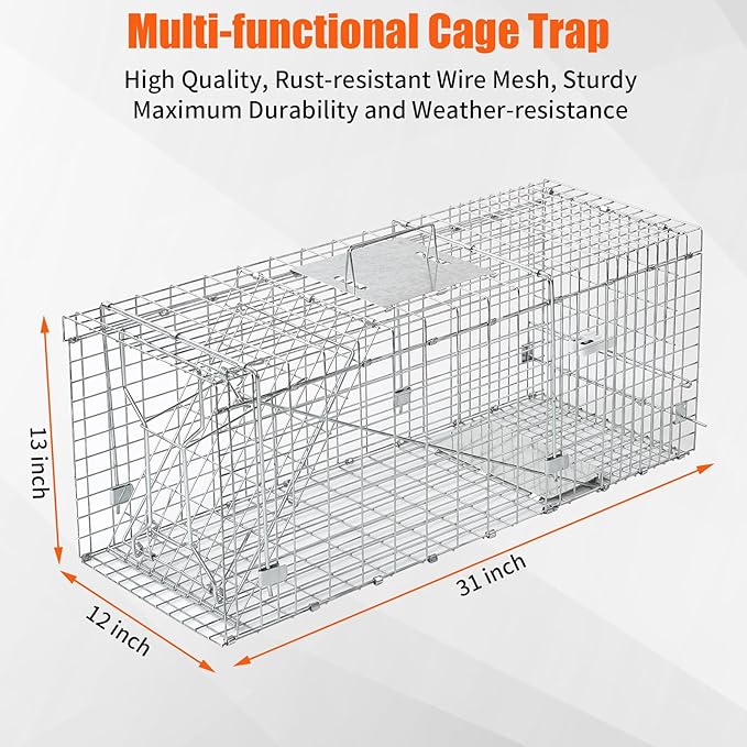 31" Live Animal Trap, Heavy Duty Folding Squirrel Traps Outdoor, Humane Catch & Release Cat Trap for Stray Cats, Raccoons, Squirrel, Skunk, Mole, Groundhog, Armadillo, Rabbit