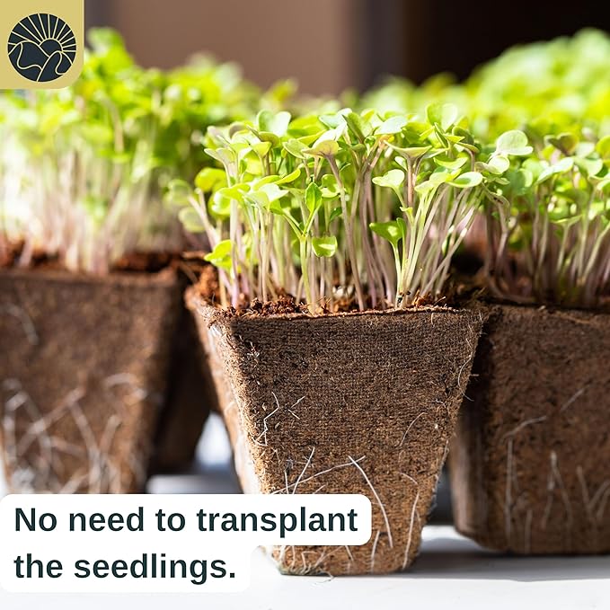 Seed Starter Peat Pots for Seedlings 300 pcs Biodegradable Seed Starter Pots