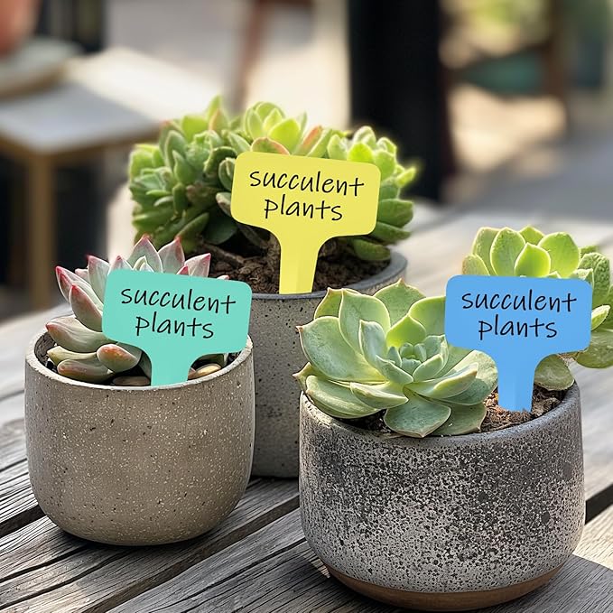 Plant Labels 1000 Pcs Yuanling T-Type Plastic Garden Tags Waterproof Plant Sign Stakes Nursery Garden Makers for Seedlings Flower Vegetables Herb Potted Belt Permanet Marker Pen (5 Colors)