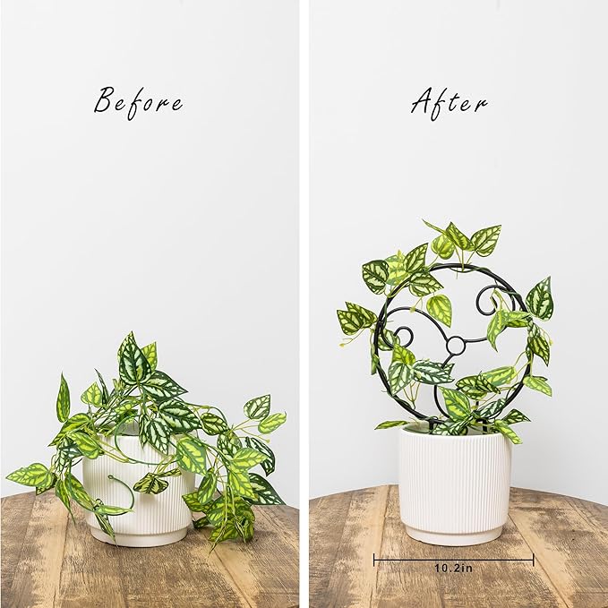 2 Pcs Small Indoor Metal Garden Plant Trellis for Climbing House Pot Plants, Black (Style F)