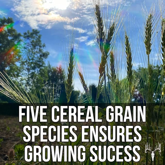 Last Resort, 25LB Bulk Size, Food Plot Seed for Deer, Mix of Cereal Grain Rye, Wheat, Triticale, Barley, & Oats, Pheasant, Turkey, Dove, Wildlife & Whitetail Hunting Foodplots & Pasture