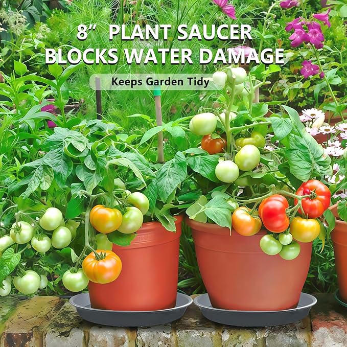 6 Pack 8-Inch Gray Plant Saucer Trays, Durable PP Plastic Pot Bases for Small Medium Planters, Modern Round Flower Pot Water Catcher Plates & Drip Trays for Indoor Plant Care