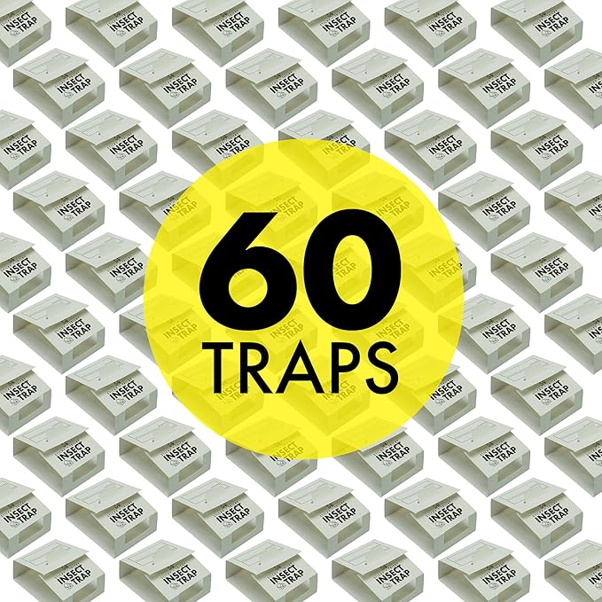 S&T INC. Insect Traps, 60 Count, Glue Traps for Brown Recluse, Hobo Spiders, Black Widows, Use in Home, Basement or Garage, or Utility Rooms for Pest Control