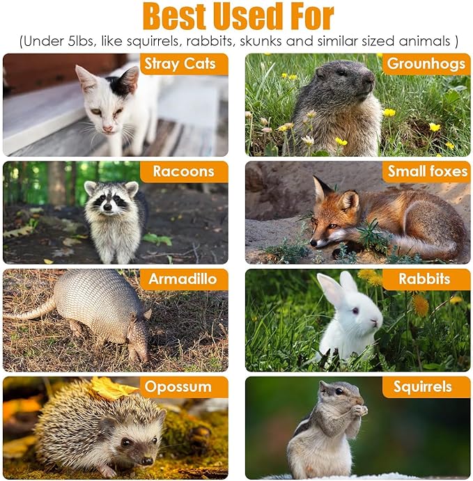 iMounTEK Humane Live Animal Cage Trap Cat Trap Cage Humane Catch & Release Live Rodent Collapsible Galvanized Wire for Kitten Rabbit Squirrels Small Raccoons Beavers Groundhogs Indoor Outdoor