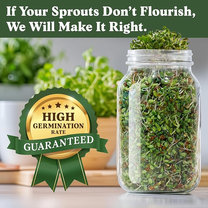 Seedboy Organic Sprouting Seeds - Gut Health Blend - Non-GMO, USA Grown Microgreens Mix - Clover, Alfalfa, Fenugreek, Dill - Makes 8 Quarts of Sprouts, 24 Servings (8 oz) (Gut Health Blend)