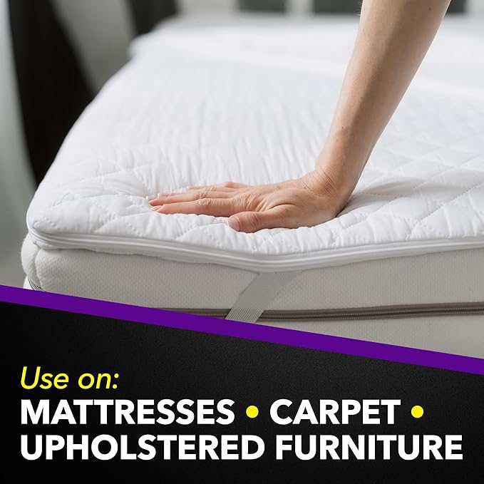 Raid Bed Bug Foaming Spray, Kills Bed Bugs and Their Eggs, for Indoor Use, Non-Staining, Keeps Killing for Weeks, 16.5 oz (Pack of 1)