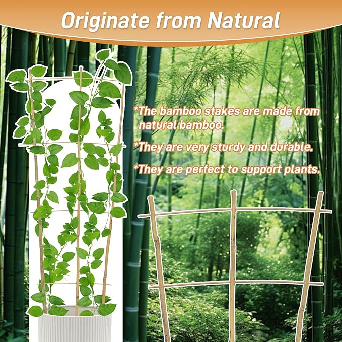 10 Pack 2ft Bamboo Trellis for Climbing Plants-Natural Garden Ladder Trellis, Fan -Shaped Support Trellis for Potted Plant Decor in Door