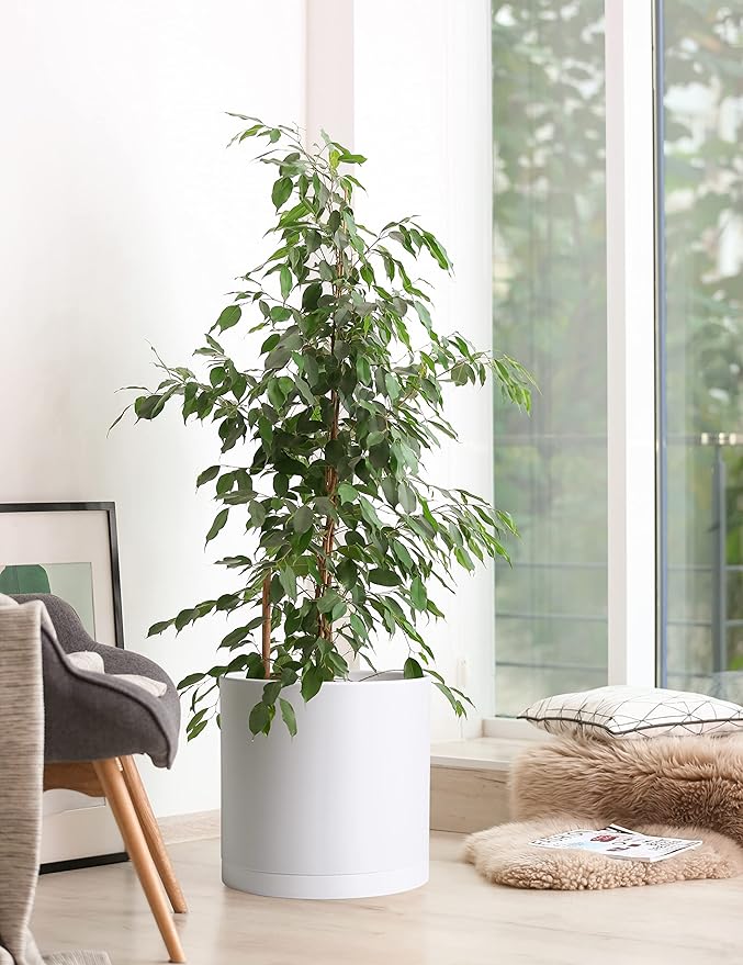 D'vine Dev 14 Inch White Plastic Planter Pots for Plant Pot with Drainage Hole and Seamless Saucers, 74-X-A-4