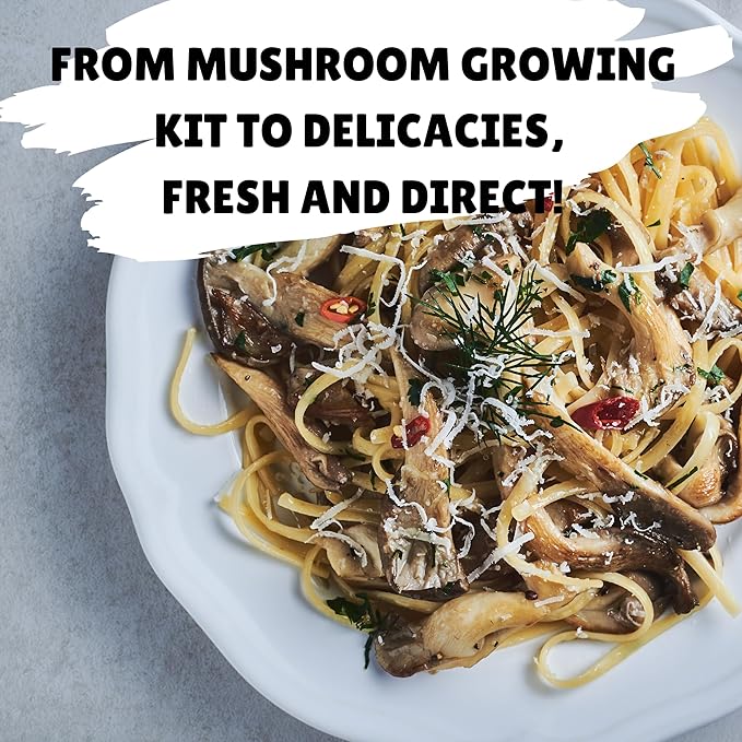 Golden Oyster Mushroom Growing Kit, Starter-Friendly & Fast Harvest Mushrooms Growing Kit, Handmade in USA, Great Gift