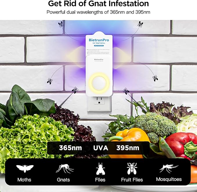 Fly Traps Indoors(1 Device+5 Refills), Gnat Traps for House Indoor with Night Light, 3-in-1 UV/Blue/Yellow Light Plug-in Flying Insect Traps, Fruit Fly Killer, NAT Killer, Get Rid of Gnat Infestation