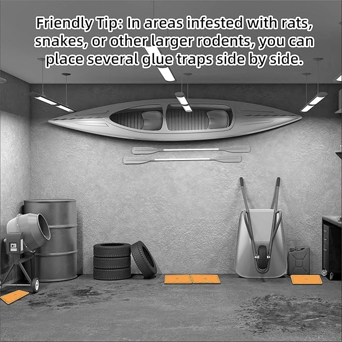 12 Pack Sticky Mouse Trap Rat Traps Indoor, Peanut Taste Pheromone Mouse Traps Indoor for Home, Glue Sticky Traps for Mice and Rats, Snake(Large Size)