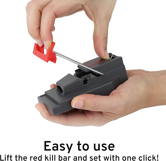 Victor M123SSR Quick-Kill Easy Set Mouse Trap - 6 Reusable Mouse Traps (Pack of 6)