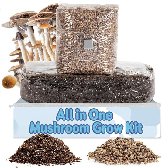 Surfin' Spores All-in-One Mushroom Grow Kit | 6 lb Grow-in-Bag Kit/Monotub Refill | Includes: 2 lb Sterile Grain Bag with Injection Port & 4 lb Organic CVG Substrate | Spores Not Included (Pack of 2)