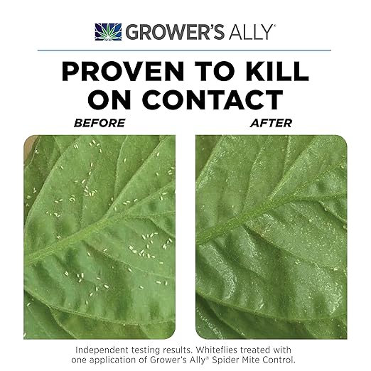 Grower's Ally Spider Mite Control | 8 oz Concentrate, Makes 25 Gallons | Insecticide and Miticide for Plants | OMRI Listed