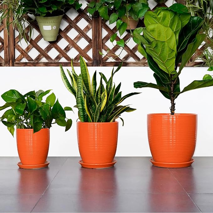 Ceramic Planter - 10 Inch Plant Pot for Indoor Outdoor, Modern Planters with Drainage Hole and Saucer, Round Large Plant Pot, Patio Room House Decor, House Warming Gifts, Orange