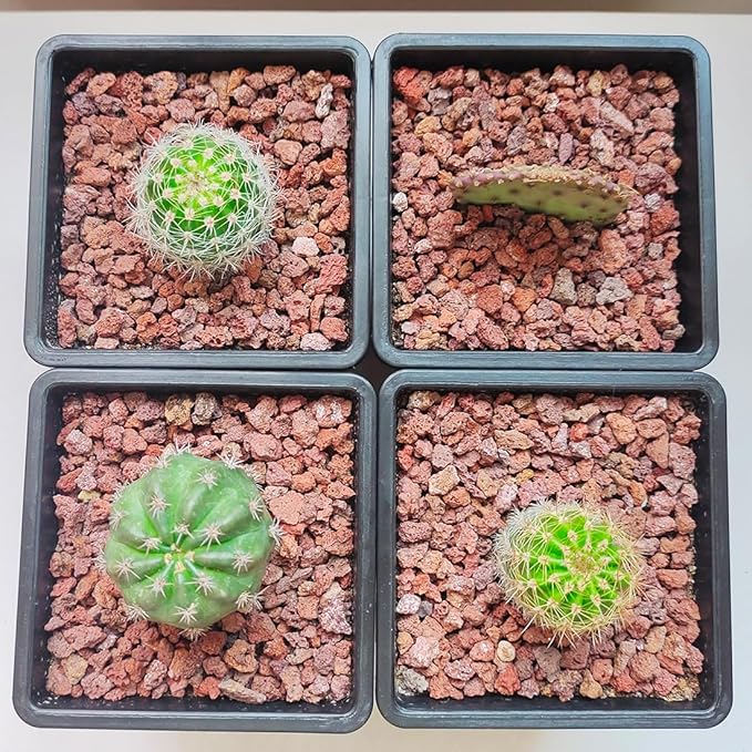 Red Horticultural Lava Rocks for Plants, 10 lb Succulents Cactus Bonsai Soil Lava Rocks for Aquarium Outdoor Decorative Stones for Craft Projects, Vase Fillers