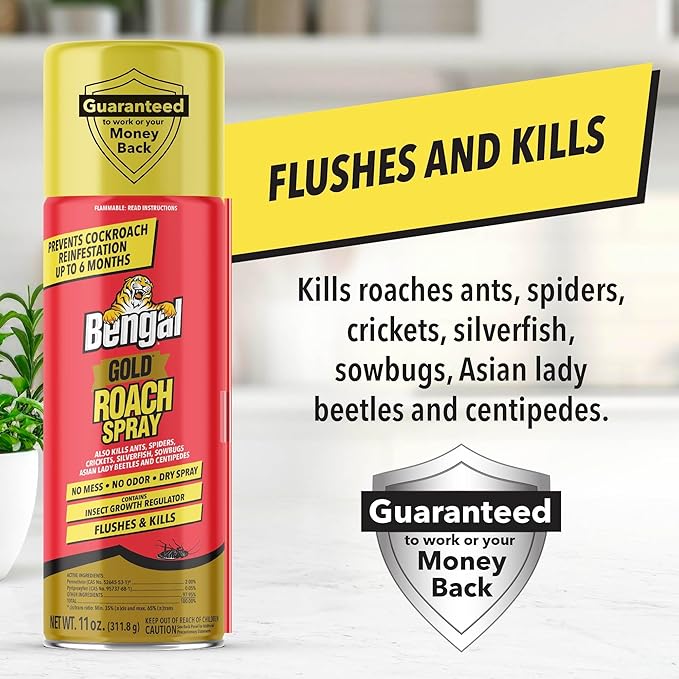Bengal Gold Roach Spray - Odorless, Stain-Free Bug Spray for Home - Prevents Reinfestation for Up to 6 Months - 11 oz, 2 Pack