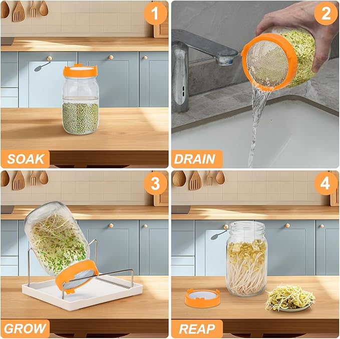 Lulonpon Sprouting Kit, 2 Sprouting Jar Kits, Wide Mouth Quart Mason Jars with Stainless Steel Screen Sprout Lids,1000ml Sprouts Growing Kit, Seed Sprouter Set for Growing Broccoli, Bean, Alfalfa