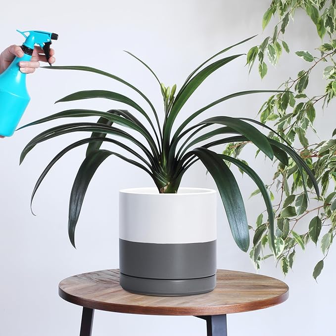 D'vine Dev Set of 2 Plants Pots, 8.2 Inch Ceramic Planter Pot for Plants with Drainage Hole and Saucer, White/Speckled Grey, 94-V-D-6