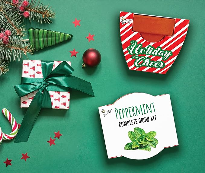 BUZZY Seeds Terracotta Holiday Mini Grow Pot Candy Cane | Peppermint 6-Pack | Herb, Plant Starter Kit for Kids & Adults | Guaranteed to Grow | Best Indoor Gardening Gifts, Favors, Stocking Stuffers
