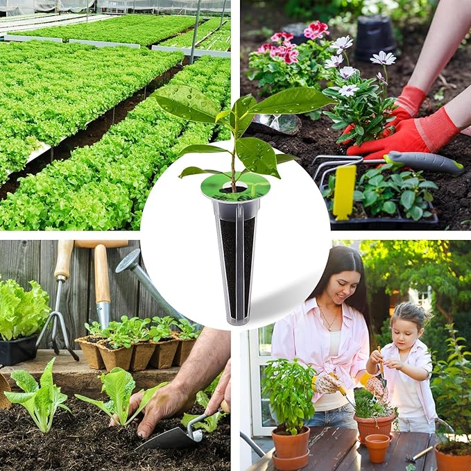 242 PCS Hydroponic Pods Kit, Seed Pods Kit for Aerogarden, Grow Anything Kit, Coolrunner Hydroponics Garden Accessories with 60 Baskets, 60 Stickers, 60 Sponges, 2 Tweezers, 60 Planting Cove (242)