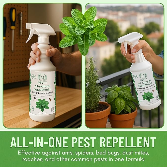 Minty Insect & Pest Control, Powerful & Natural 5% Peppermint Oil Spray for Ants, Spiders, Bed Bugs, Dust Mites, Roaches and More - Indoor and Outdoor Use, 128 fl oz Gallon