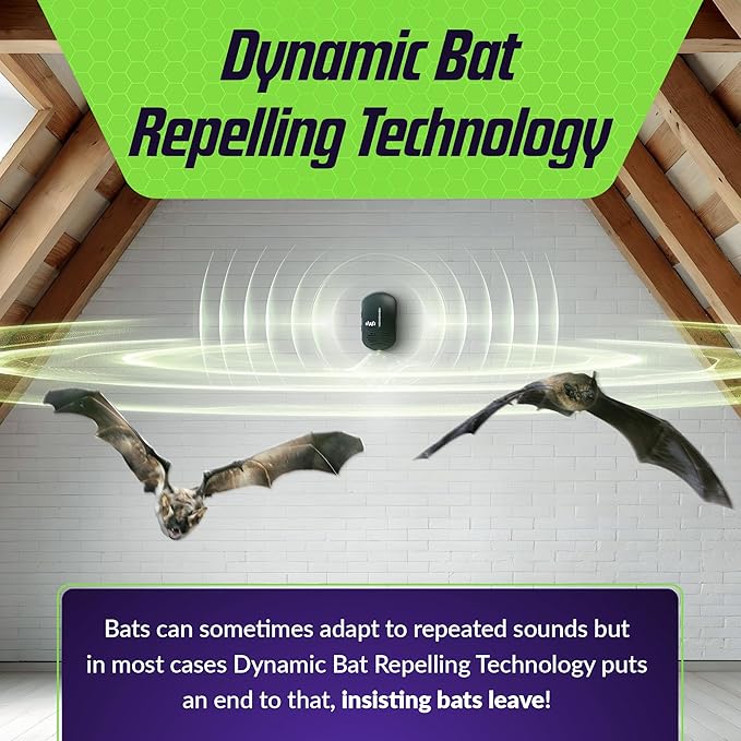 BWZ600 Direct Ultrasonic Bat Repeller - Featuring Bat-ZoneZonic™ Frequency Control for Precise Repelling of Bats (Midnight Black)