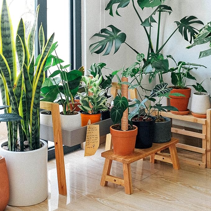 Moss Pole, Augshy Total Length 43 Inch Moss Poles - 2Pcs 24 Inch Plants Support Stakes Pole for Indoor Plants Coir Totem Pole for Creeper Monstera Plant Climbing