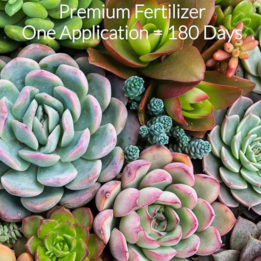 Leaves and Soul Succulent Fertilizer Pellets |13-11-11 Slow Release Pellets for All Cactus and Succulents | Multi-Purpose Blend & Gardening Supplies, No Fillers | 5.2 oz Resealable Packaging