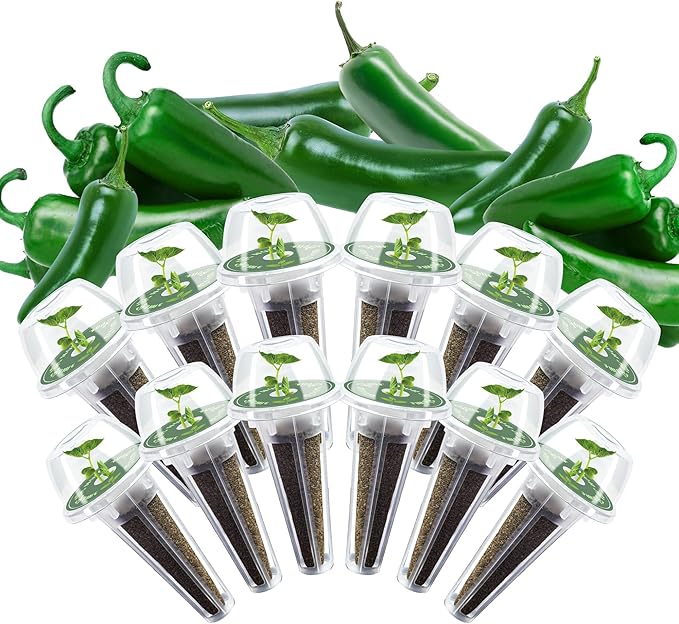 Jalapeno Pepper Seed Pods Kit, 12 Pods Grow Anything Kit for Indoor Hydroponics Growing System, Hydroponics Supplies with 12 Grow Sponges, 12 Plant Baskets, 12 Pod Domes and Labels