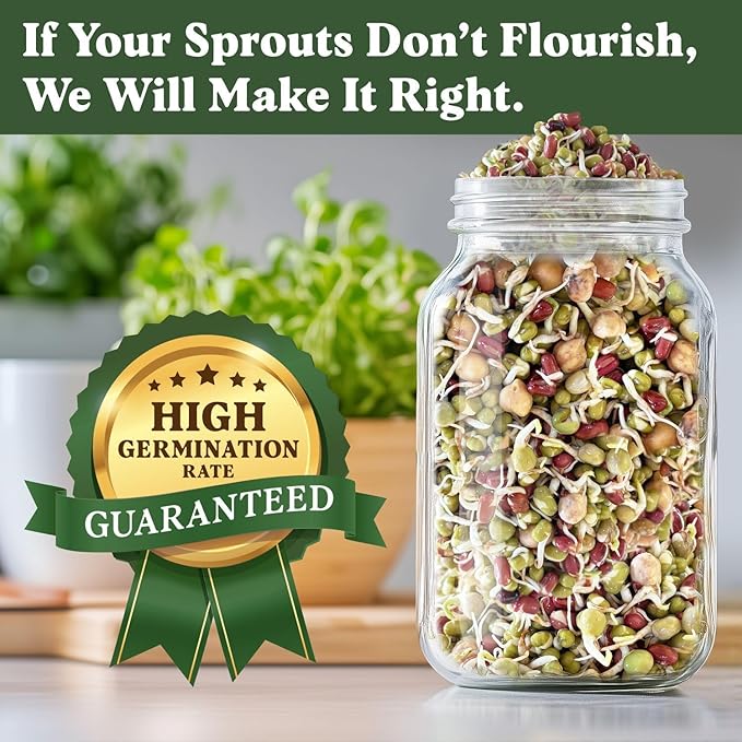 Seedboy Organic Sprouting Seeds - Protein Blend Variety - Non-GMO, USA Grown Microgreens Mix - Garbanzo, Mung, Adzuki Beans, Green Pea - Makes 2 Quarts of Sprouts, 12 Servings (8 oz) (Protein Blend)