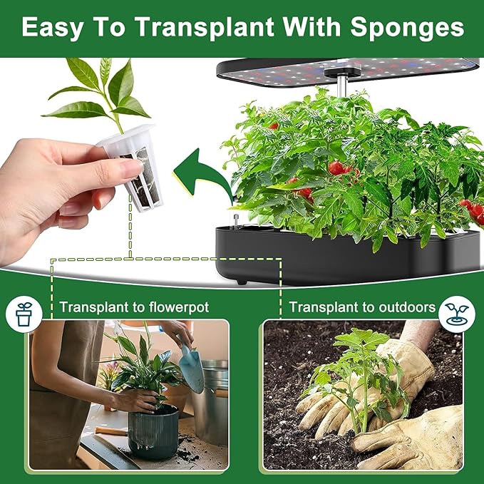 61 Pack Grow Sponges, Replacement Root Growth Sponges Seed Pods Compatible with AeroGarden, Compatible with Hydroponics Growing System Kit, Includes 10 Plant Labels and 1 Tweezers