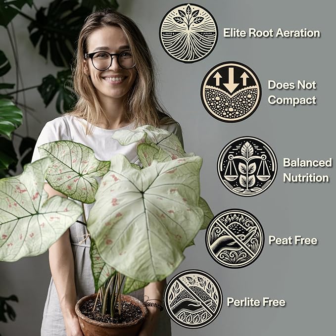 Craft Aroid Potting Mix- Elite Alocasia, Philodendron, Monstera Soil Mix, Chunky, Well Draining Potting Soil for Indoor Plants, All Tropical Plants & Houseplants, Synthetic & Peat Free 2QT