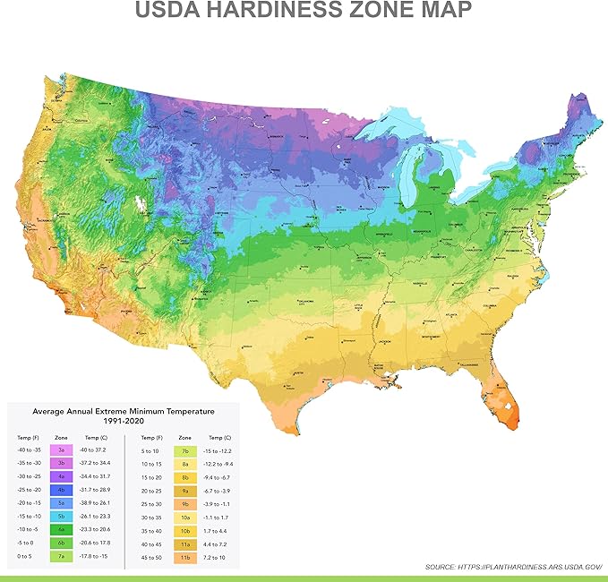 Garden State Bulb Darwin Hybrid Festival Mix Tulip Flower Bulbs, 12/+ cm, Fall Planting (Bag of 250)