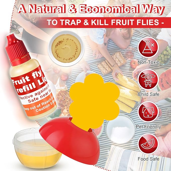 Qualirey Fruit Fly Trap for Indoors, 4 Pack Fruit Fly Trap with 4 Refill Liquid and 60 Yellow Sticky Pads, Safe Near Pets, Food and Kids, with Lure Refill Liquid for Home Kitchen (Red)