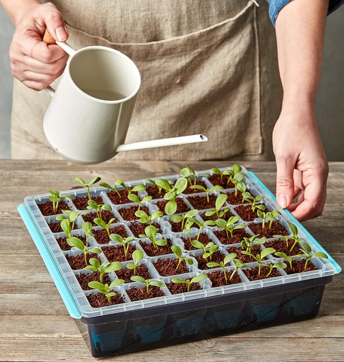 Burpee SuperSeed Seed Starting Tray | 36 Cell Reusable Seed Starter Tray | for Starting Vegetable, Flower & Herb Seeds | Indoor Grow Kit for Plant Seedlings | for Germination Success