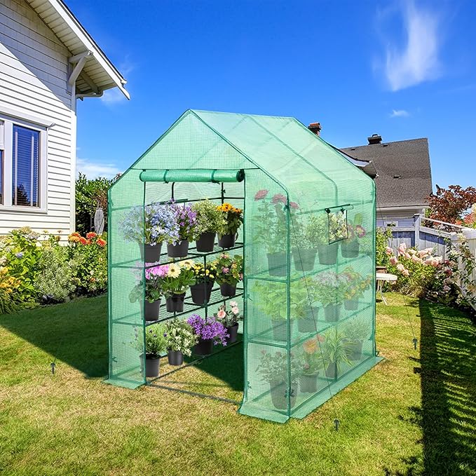 EAGLE PEAK Walk in 3-Tier Greenhouse with Wire Shelves, Portable Indoor and Outdoor Green House with Roll-Up Zippered Door & 2 Roll Up Windows, 8 Shelves, 56"x56"x77", Clear/Green PE Cover