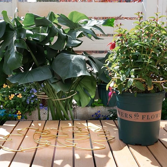 5PCS Durable Monstera Plant Stem Support Stake with Adjustable Leaf Holders - Plant Support Kit for Indoor Botanicals, Cactus Stabilizers, and Turtle Shell Climbers - Ideal for Plant Enthusiasts